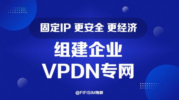 物联网卡安全技术全解析：加密体系与 VPDN 专网防护 | FIFISIM 物联