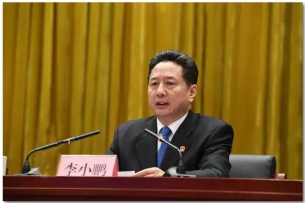 李小鹏在2019年全国交通运输工作会议上的讲话