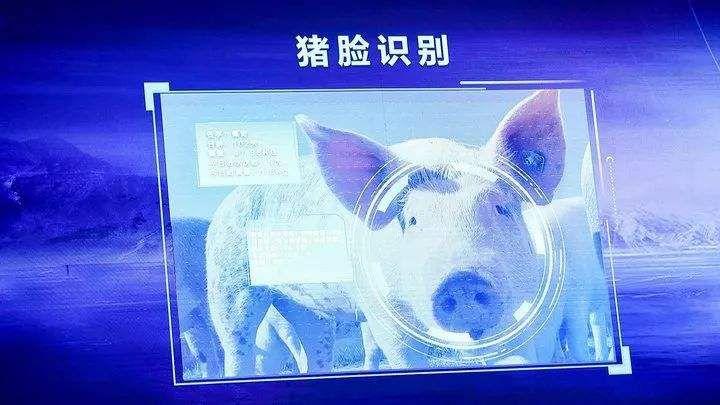 AI做得深，赶快去农村