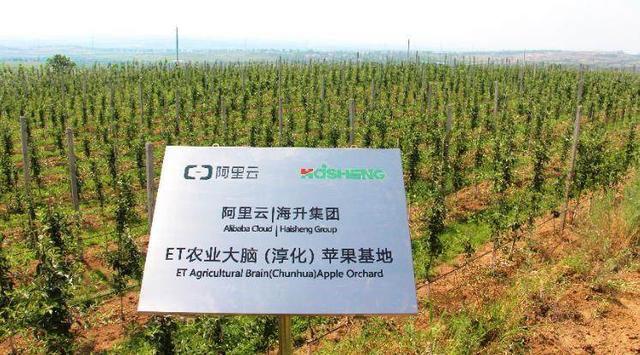 AI做得深，赶快去农村