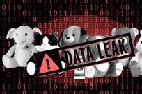 为什么我3岁的儿子有不良信用记录？儿童数据泄