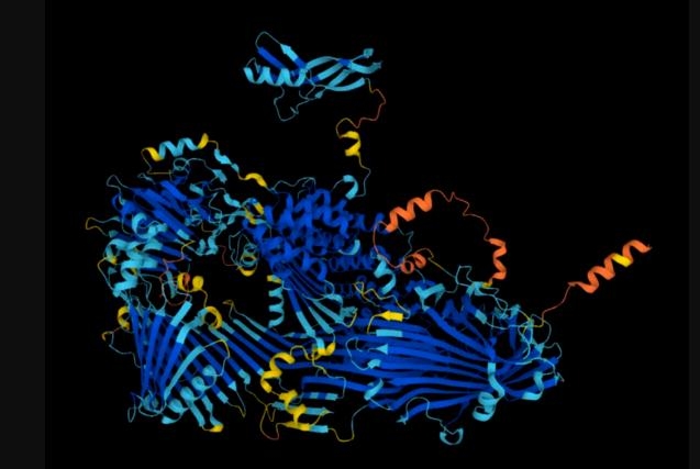 业界首个适用于固体系统的神经网络波函数，登上Nature子刊